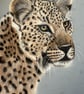 Leopard Pastel Print