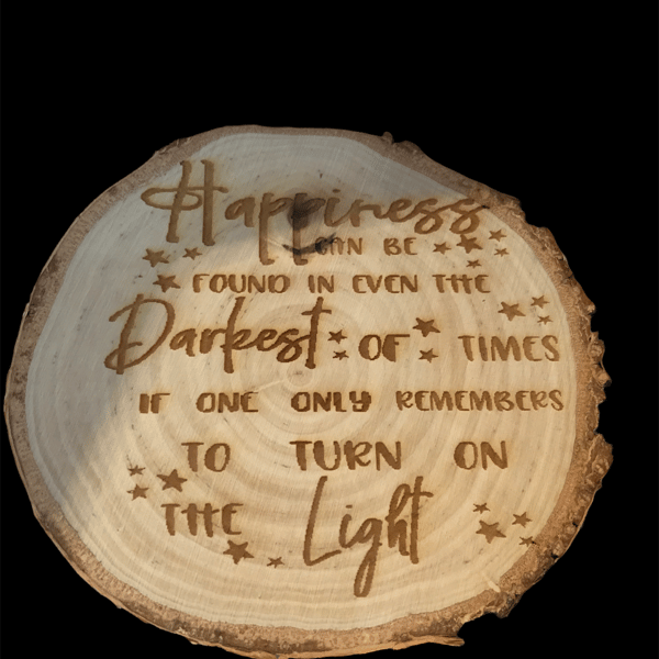 In the Darkest of Times Log slice