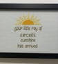 Little Ray of Sarcastic Sunshine – Funny Handmade Cross Stitch Gift 7x5