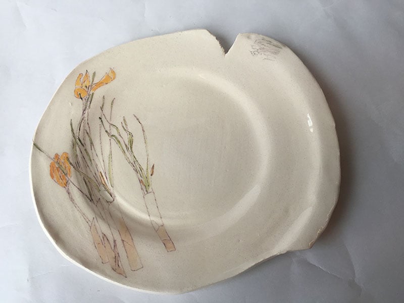 The Medium Plate - Spring Series