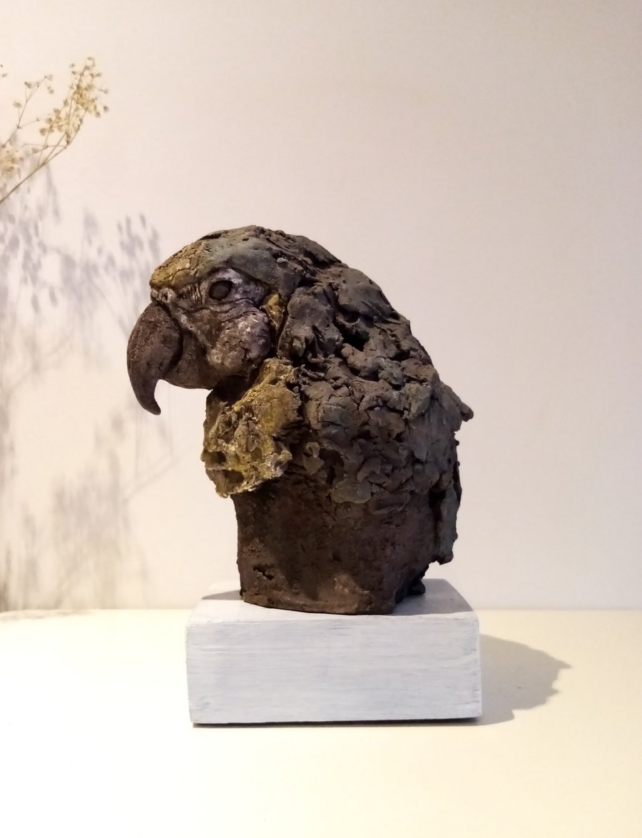Parrot sketch.. Macaw sculpture 