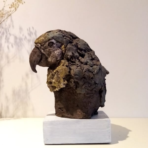 Parrot sketch.. Macaw sculpture 