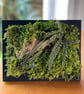 Framed Forest Vignette - Image 1