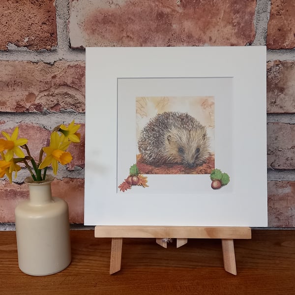 Hedgehog mounted art print