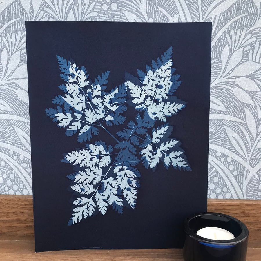 Original Art, Double exposure delights in Photogram of Botanicals.