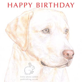 Ollie the Yellow Labrador -  Birthday Card