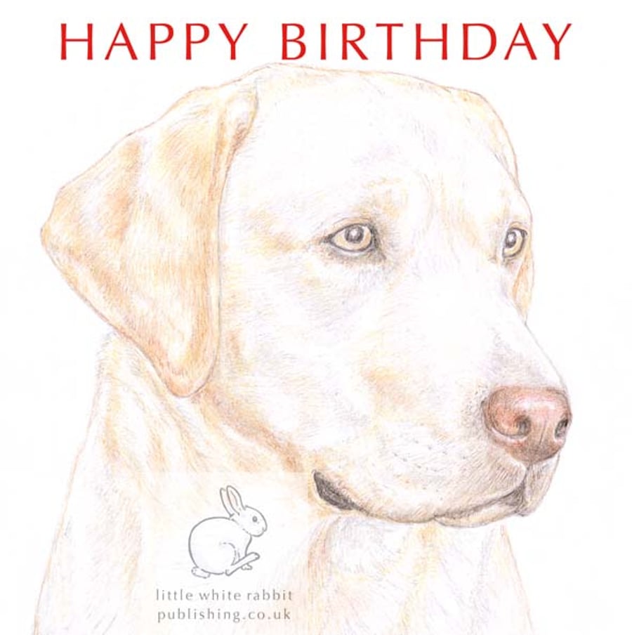 Ollie the Yellow Labrador -  Birthday Card