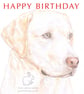 Ollie the Yellow Labrador -  Birthday Card - Image 1