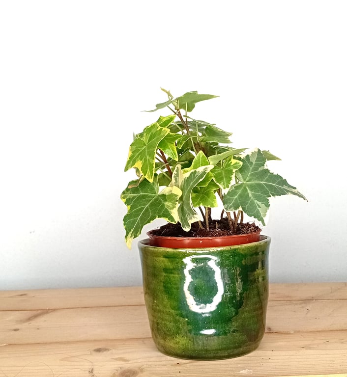 Ceramic green bulb or flower planter