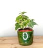 Ceramic green bulb or flower planter