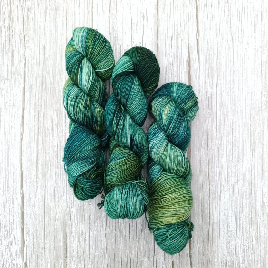 Winter's Forest 100g Hand dyed Sock Yarn (4Ply)