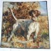 Brown and White Pointer standing waiting for action cushion