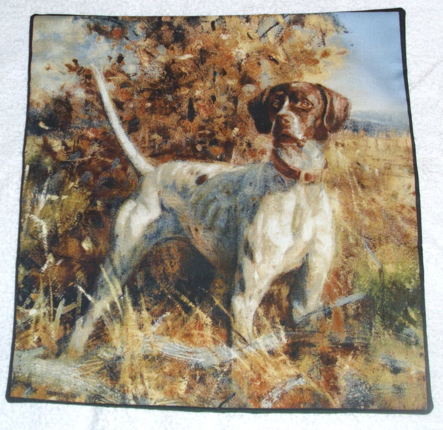 Brown and White Pointer standing waiting for action cushion