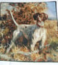 Brown and White Pointer standing waiting for action cushion - Image 1