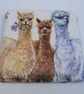 Set of 2 Slate Alpaca Coasters - Image 3