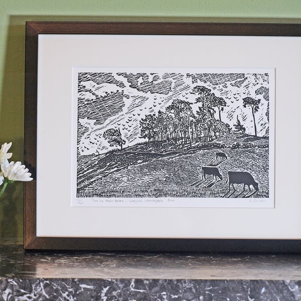 Lino-print, cows, Wensleydale, Yorkshire, trees, Ladyhill by Denise Burden