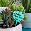 Plant marker gifts for plant lovers indoor plants, motivational quote gardener