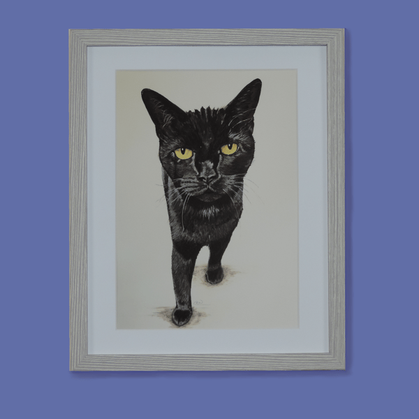 Black Cat Fine Art Print 8x6"