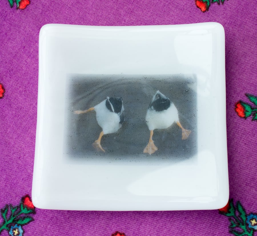 Square Fused Glass Trinket or Bon-Bon Dish with Ducks