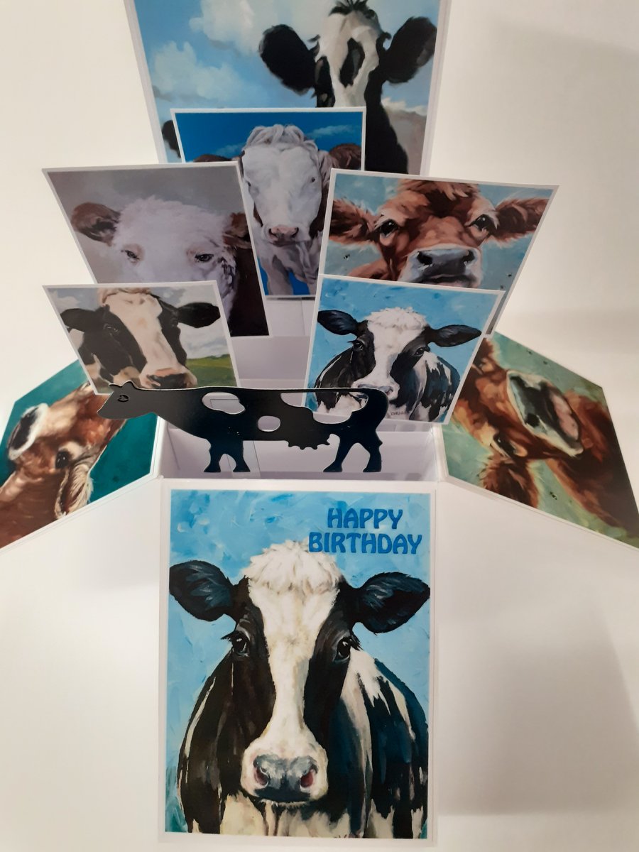 Birthday Card With Cows