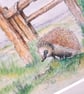 Watercolour print of a Southdowns Sussex Hedgehog - Image 6