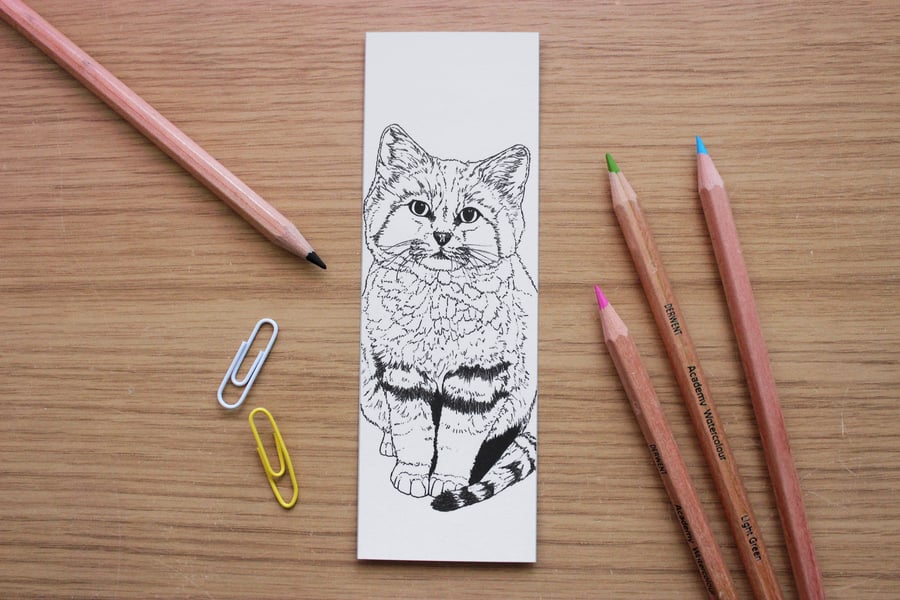 Sand Cat Bookmark - Kids Colour-In Animal Education Bookmark