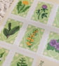Spring Foraging Sticker Sheet - Image 5