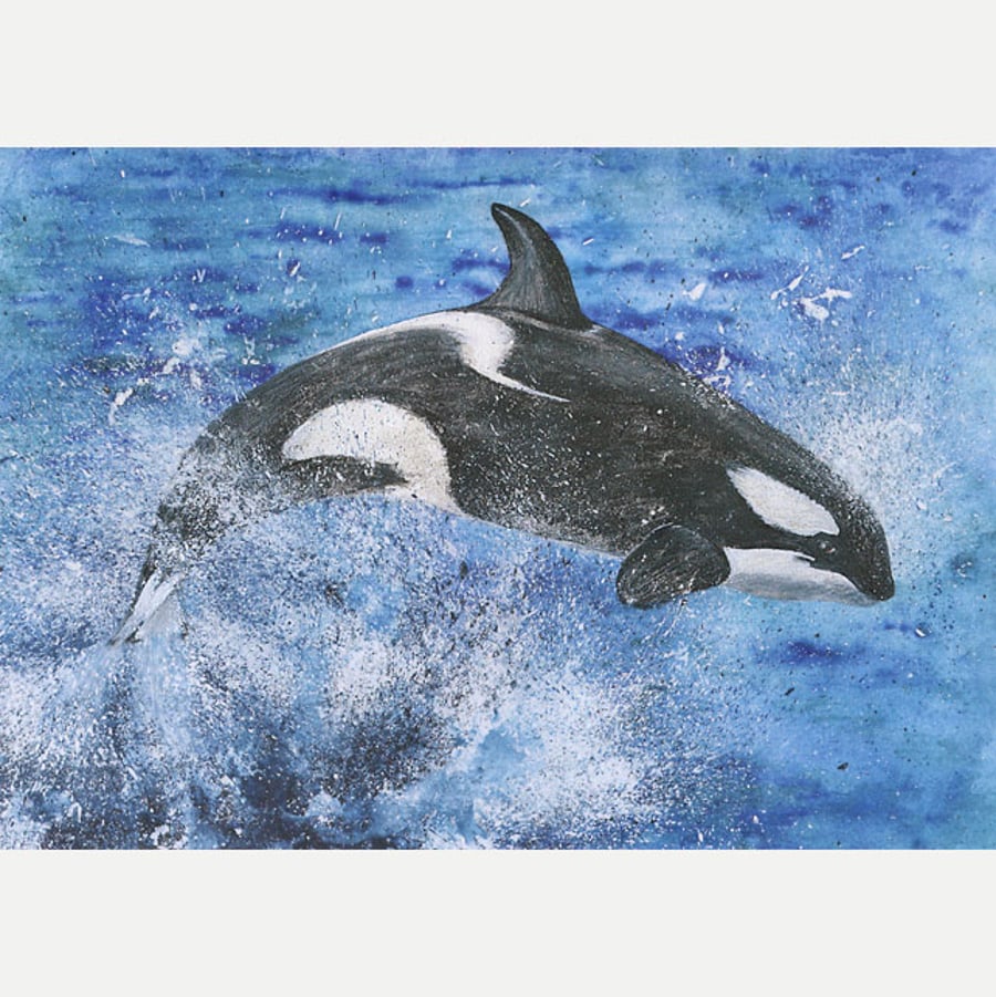 A5 Greetings Card "Leaping Orca"
