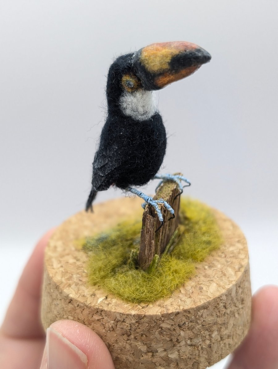 Tiny needle felt Toucan in grass Bird in a Gift Box
