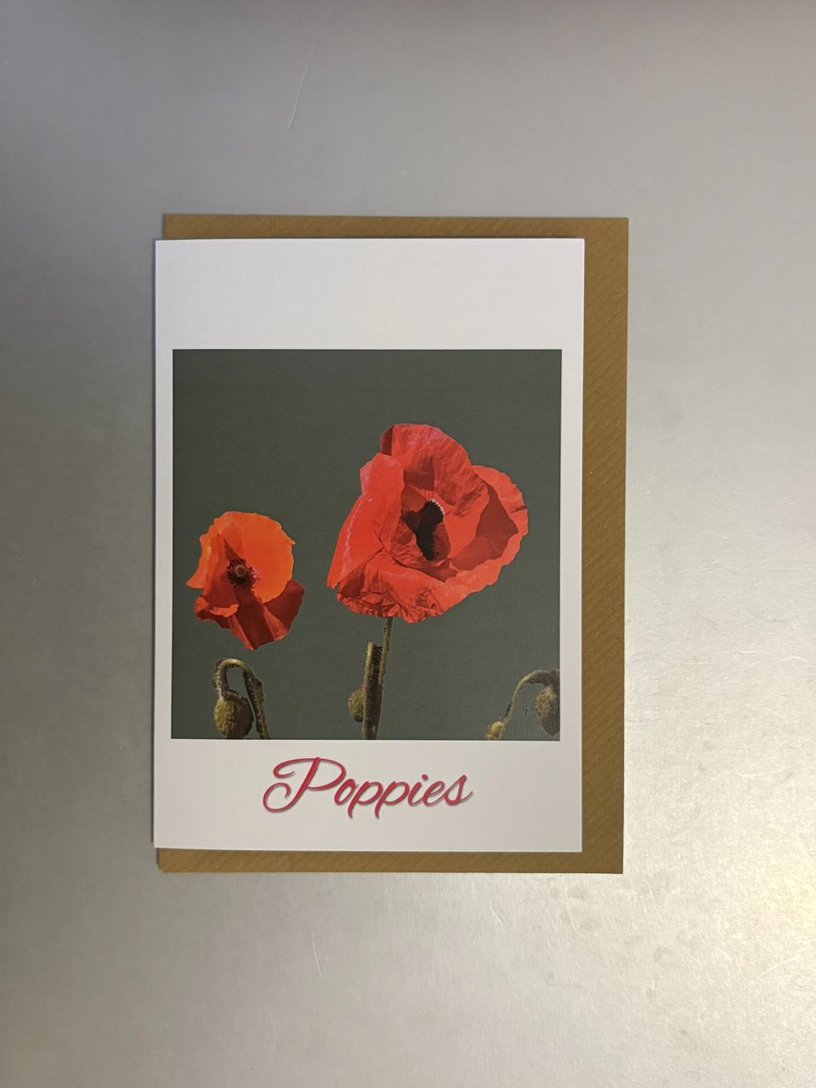 Poppy A5 Greeting Card