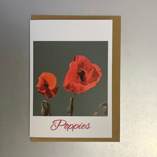 Poppy A5 Greeting Card