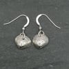 Real clam shells covered in silver dangly earrings