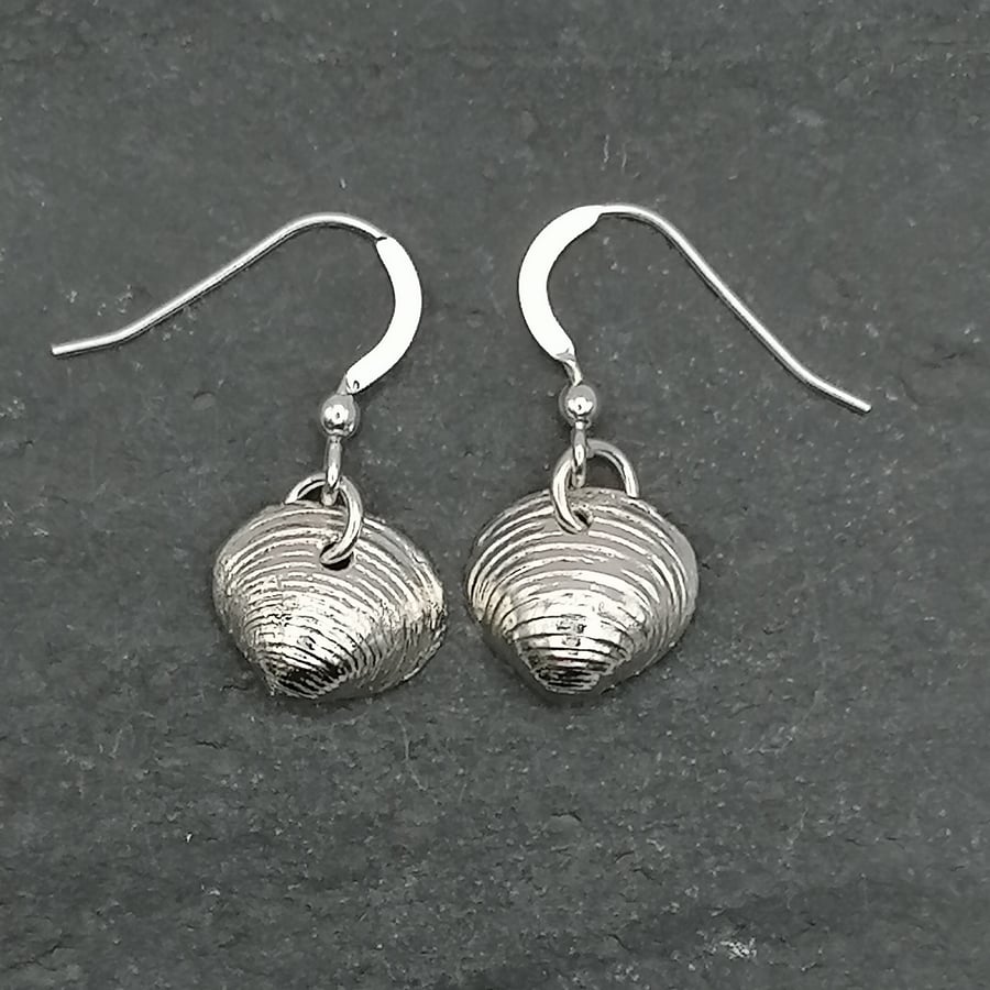 Real clam shells covered in silver dangly earrings