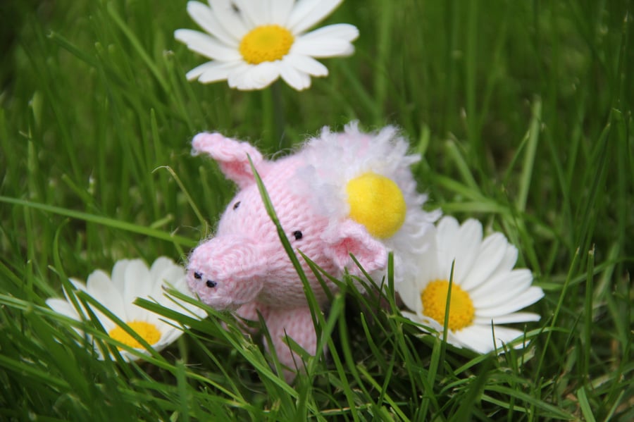 Daisy Piglet