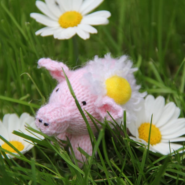 Daisy Piglet