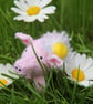 Daisy Piglet - Image 1