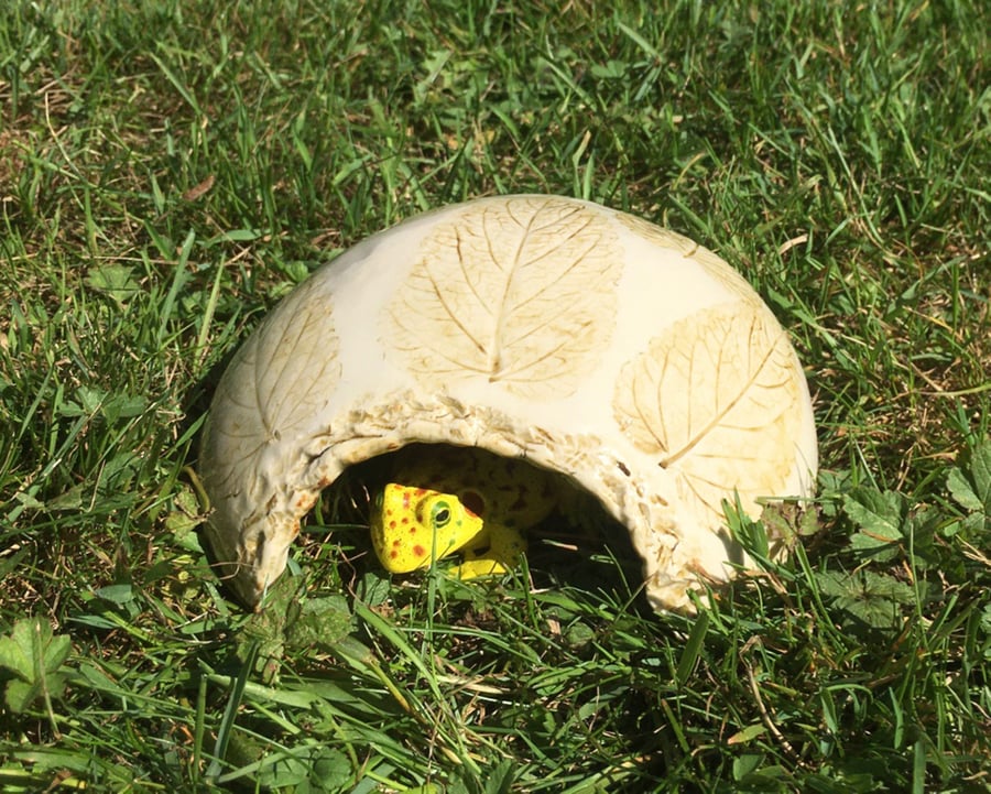Toad shelter