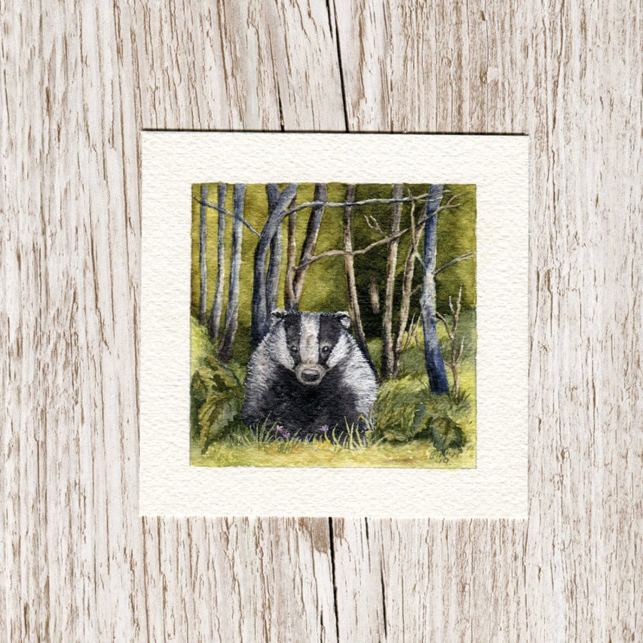  Original Watercolour Miniature painting of a badger in woodland