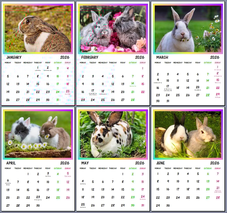 2026 A4 Calendar Pet Rabbits 