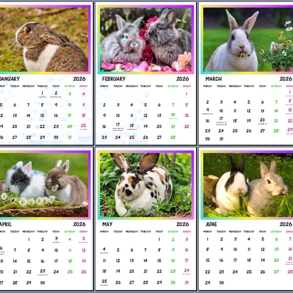 2026 A4 Calendar Pet Rabbits 