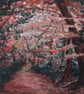 Autumn Woodlands, Dappled light through colurful leaves, seasonal landscape  - Image 2