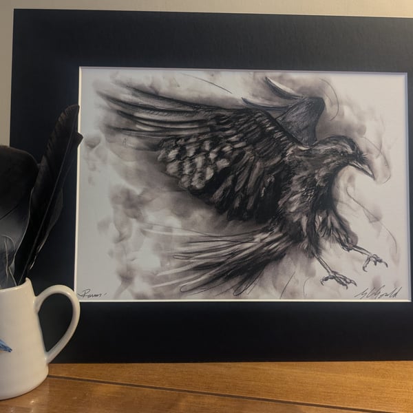 Raven in Flight 2 - an A3 or A4 signed print of an original drawing