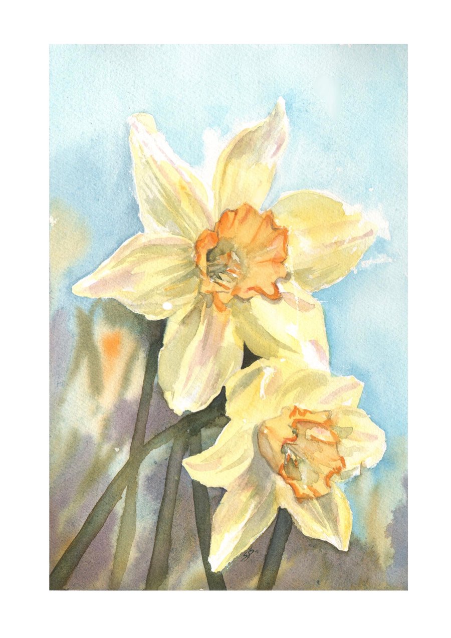 Daffodil Painting, Daffodils, Floral Art, Flowers, Original Art, Watercolours