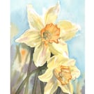 Daffodil Painting, Daffodils, Floral Art, Flowers, Original Art, Watercolours