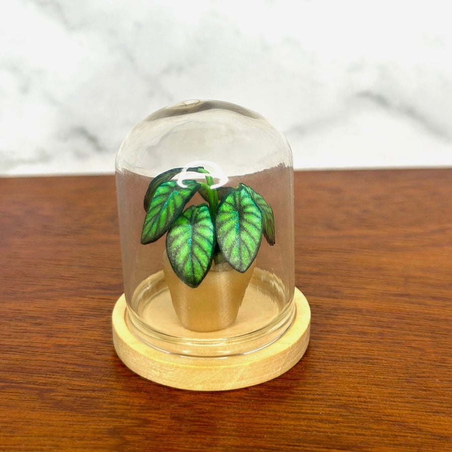 Handmade Miniature Dragon Scale Plant in a bell jar, 1:12 Dollhouse plant