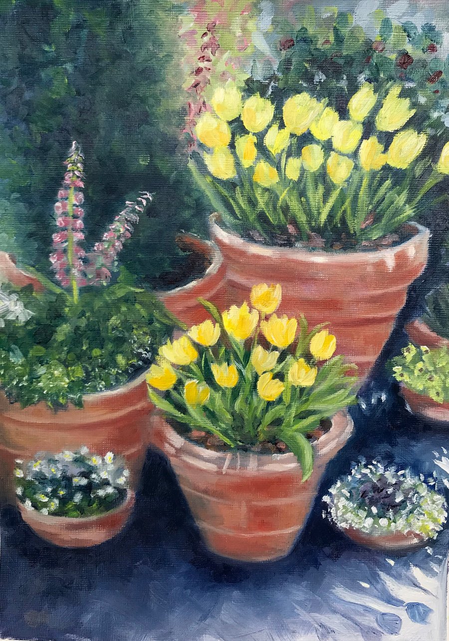 Top quality giclee print of 'Terracotta Pots a painting by artist Janet Bird