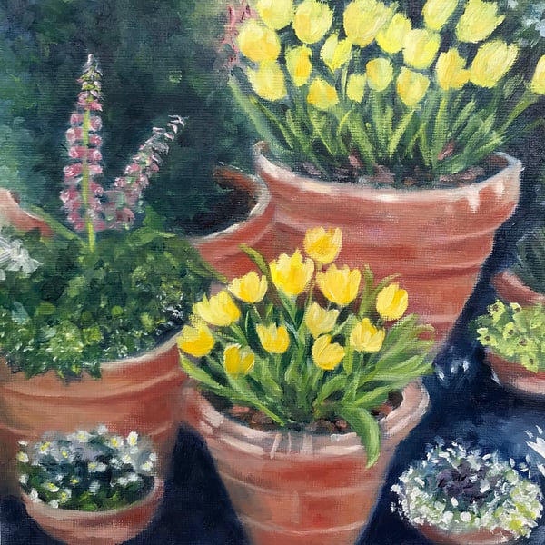 Top quality giclee print of 'Terracotta Pots a painting by artist Janet Bird