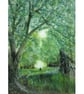 Atmospheric Landscape Art Greetings Card-Scenic Woodland Glade-5x7 Blank Inside - Image 1