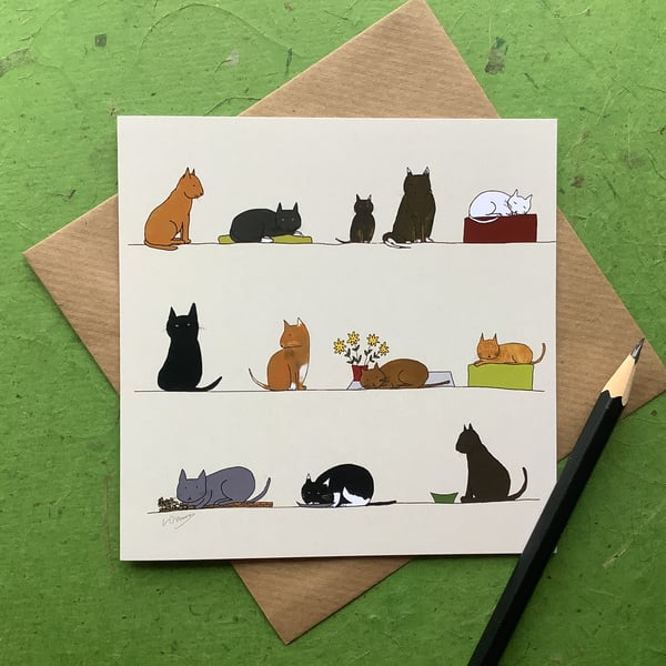Cats. Greetings card. Blank inside. Pets