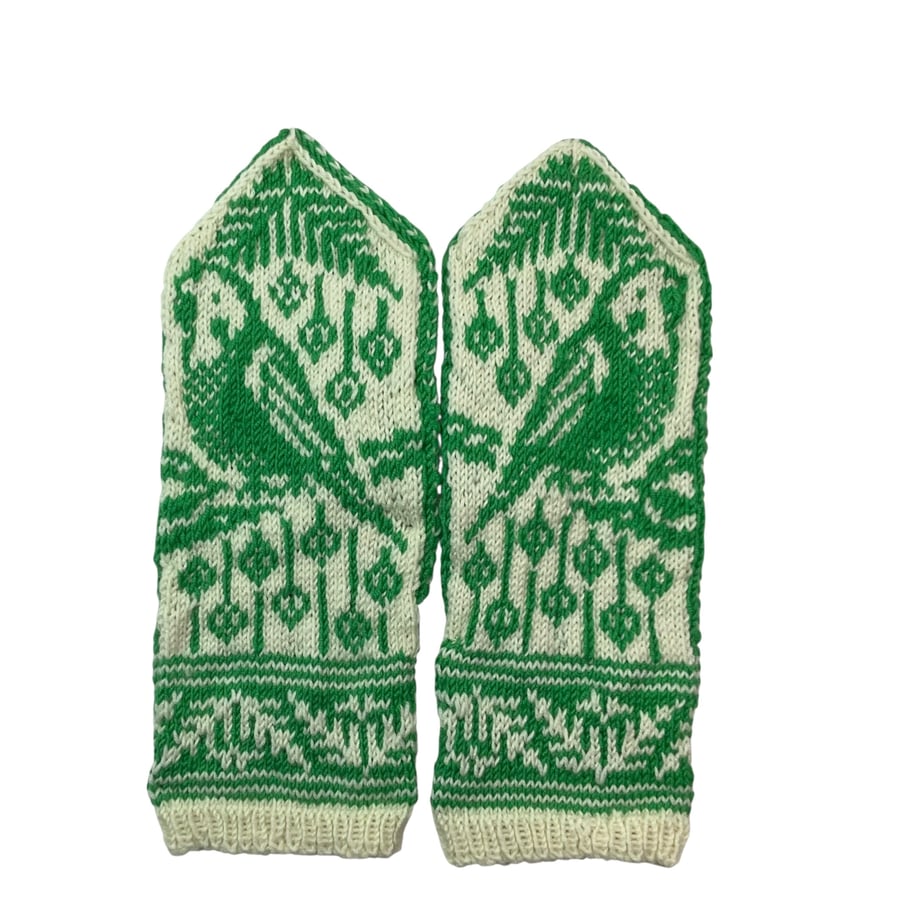 Budgie wool mittens, bird lover mittens, green budgerigar hand knitted mittens,